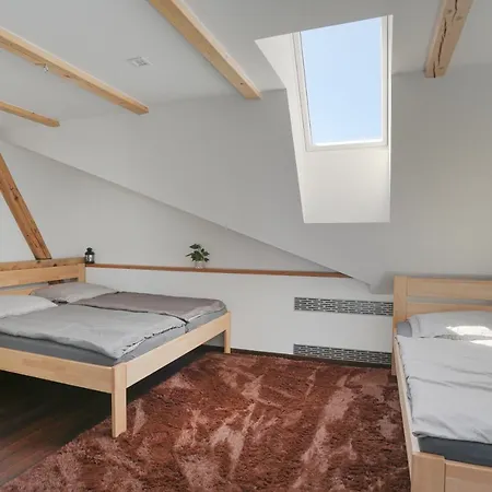 Loft Sumava דירה *