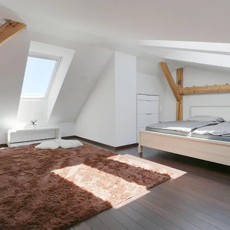 Loft Sumava Apartment Susice
